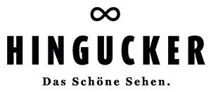 Hingucker-300×131