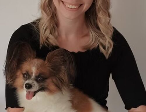 Im Tierisch Schön, Hundesalon in Bludenz  ab sofort mit der Gutschein Card bezahlen!